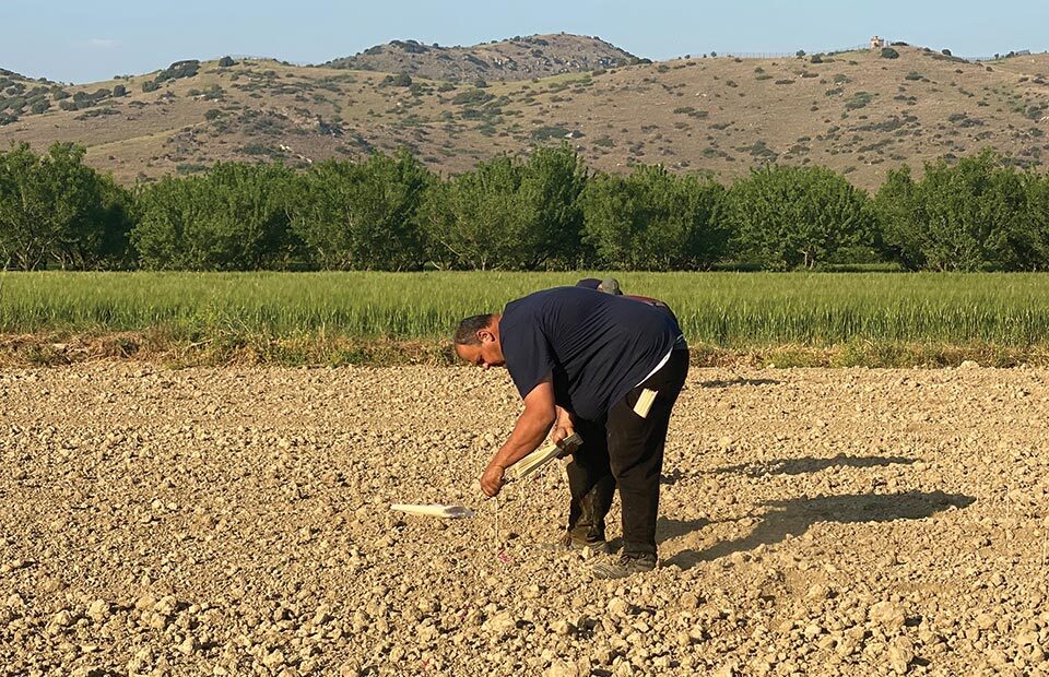 Από 1η μέχρι 20 Σεπτεμβρίου οι άδειες φύτευσης αμπέλου, τα κριτήρια προτεραιότητας - Winetrails