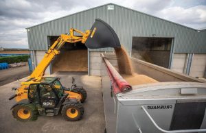 Δύσκολα βάζει Σεπτέμβριος για το σκληρό, κασσάνδρες εμπορίου ενόψει Καναδά