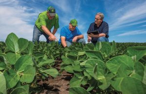 Ανανέωση στους Γεωργικούς Συμβούλους, 15 πια τα πεδία παροχής δωρεάν υπηρεσιών