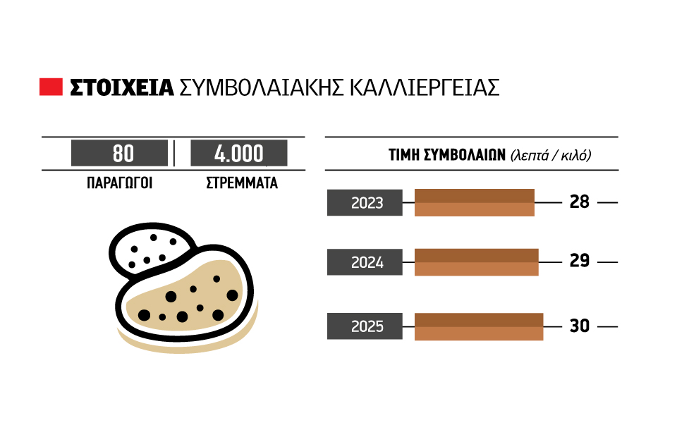 Success story χτίζουν τα συμβόλαια στη βιομηχανική πατάτα - Fresher