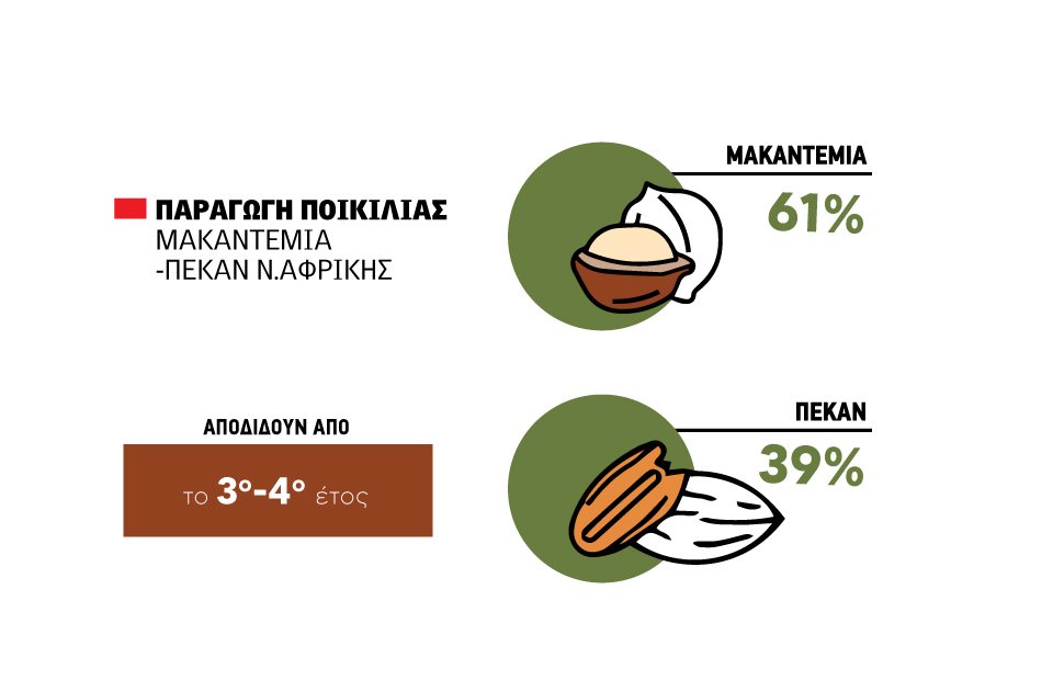 Εξελιγμένα μακαντέμια και πεκάν πλασάρει η βιομηχανία Ν. Αφρικής