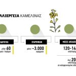Ήρθε για να μείνει στη Βόρεια Ελλάδα η Καμελίνα με έξοδα 70 ευρώ/στρέμμα