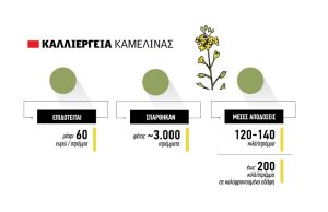 Ήρθε για να μείνει στη Βόρεια Ελλάδα η Καμελίνα με έξοδα 70 ευρώ/στρέμμα