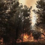 Αιτήσεις αποζημιώσεων για πυρόπληκτες επιχειρήσεις και αγροτικές εκμεταλλεύσεις στην Εύβοια