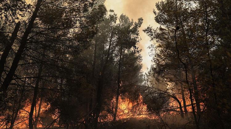 Αιτήσεις αποζημιώσεων για πυρόπληκτες επιχειρήσεις και αγροτικές εκμεταλλεύσεις στην Εύβοια
