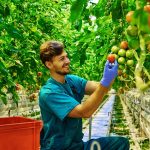 Έλλειψη χρηματοδότησης και ασαφή κανονιστικά πλαίσια φρενάρουν τη μετάβαση ΜμΕ τροφίμων στη βιωσιμότητα
