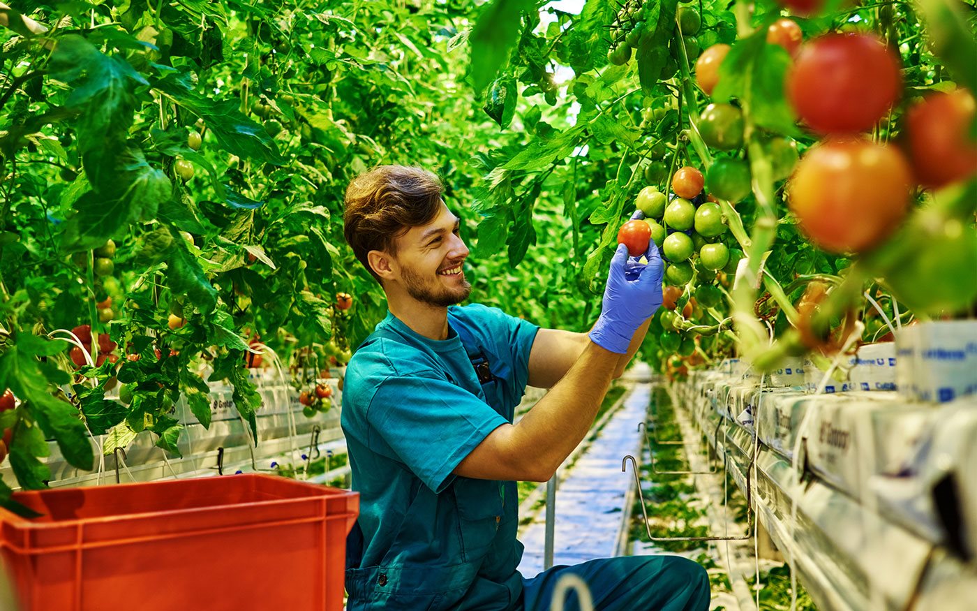 Έλλειψη χρηματοδότησης και ασαφή κανονιστικά πλαίσια φρενάρουν τη μετάβαση ΜμΕ τροφίμων στη βιωσιμότητα