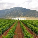 Τροποποιήθηκαν οι προδιαγραφές του οίνου ΠΓΕ «Μακεδονία» στο ενωσιακό μητρώο γεωγραφικών ενδείξεων - Winetrails