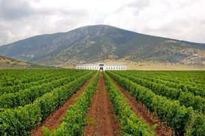 Τροποποιήθηκαν οι προδιαγραφές του οίνου ΠΓΕ «Μακεδονία» στο ενωσιακό μητρώο γεωγραφικών ενδείξεων - Winetrails