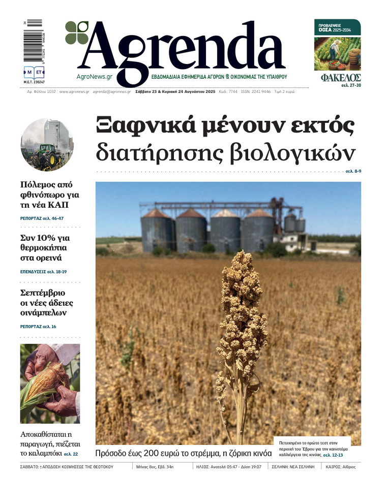 Το ναυάγιο πληρωμών και τα σπασμένα φρένα της πολιτικής ηγεσίας
