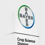 Bayer: Η απάντηση ίσως βρίσκεται μέσα σε έναν σπόρο