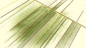 ΟΣΔΕ 2025: Νέοι κανόνες, πρόστιμα και αποκλεισμοί – Τι αλλάζει στις ενισχύσεις