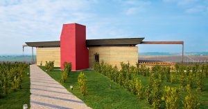 Το Κτήμα Γεροβασιλείου αποχαιρετά το καλοκαίρι με προβολή ταινίας στις 7 Σεπτεμβρίου - Winetrails