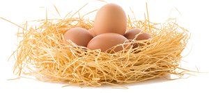 Οι ελληνικές ελιές κινδυνεύουν από την ίδια τους την επιτυχία στις ΗΠΑ