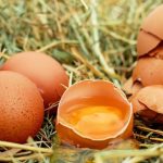 Μελέτη αποκαλύπτει επικίνδυνα επίπεδα τοξικών ουσιών σε ελληνικά τρόφιμα