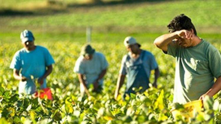 Κίνητρα για απασχόληση προσφύγων και μεταναστών στον αγροτικό τομέα