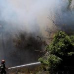 Δυτική Ελλάδα: Υποβολή αιτήσεων πληγέντων από τις πυρκαγιές