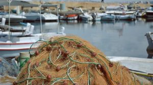 ΑΚΚΕΛ: Οι Έλληνες αλιείς απειλούνται – Ώρα για πράξη, όχι για γραφειοκρατία