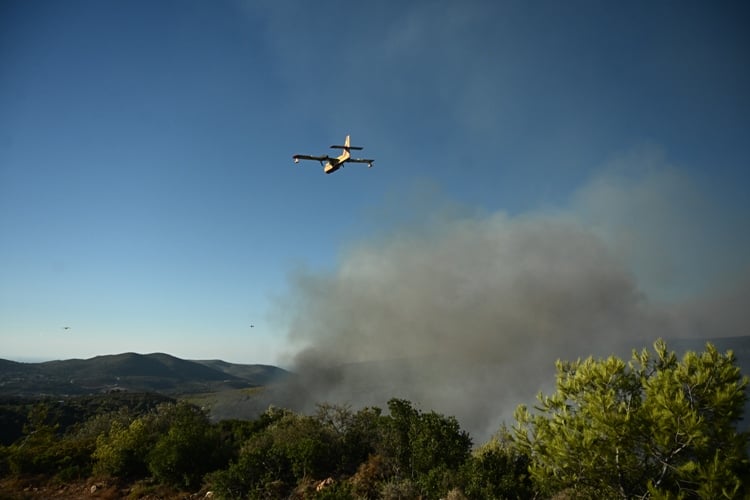 Φωτιά στην περιοχή Ριόλος Αχαΐας