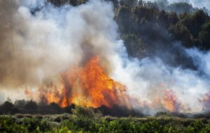 Μεγάλη φωτιά σε δασική έκταση στην Ισπανία – Εκκενώθηκαν εσπευσμένα ξενοδοχεία και κατασκηνώσεις