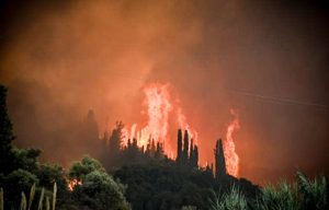 Προφυλακίστηκαν οι δύο νεαροί που κατηγορούνται για τη φωτιά στο Γηροκομείο της Πάτρας