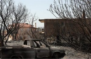 Άμεση αποζημίωση 100% για πυρόπληκτους αγρότες ζητά η Ομοσπονδία Αγροτικών Συλλόγων Πρέβεζας