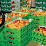 Προσφεύγει στη δικαιοσύνη για την απόφαση ΕΣΥΔ η Terra Cert