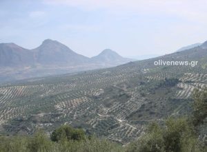 Πόσο κάνει το στρέμμα στην Ισπανία ;