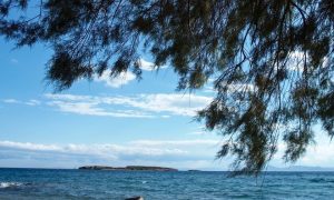 Αίθριος καιρός με υψηλές θερμοκρασίες