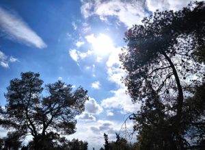 Αίθριος καιρός δίχως αξιόλογη μεταβολή της θερμοκρασίας