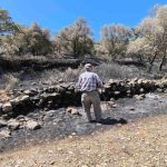 Άνευ τελών εκτίμησης η δήλωση ζημιών από πληγέντες παραγωγούς