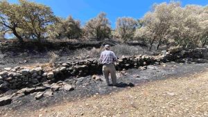 Άνευ τελών εκτίμησης η δήλωση ζημιών από πληγέντες παραγωγούς