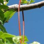 Κομφούζιο: Αλλάζουν οι διαδικασίες τι προβλέπει η νέα εγκύκλιος