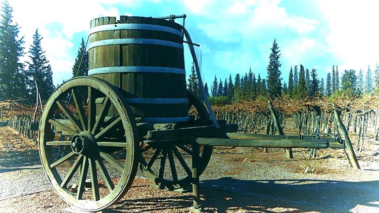 La Vita è Vino – Όταν η Ιταλία αρχίζει να αγοράζει το κρασί της