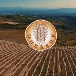 ΟΠΕΚΕΠΕ: Ηλεκτρονική υποβολή αιτήσεων για μεταβίβαση δικαιωμάτων Βασικής Ενίσχυσης 2025