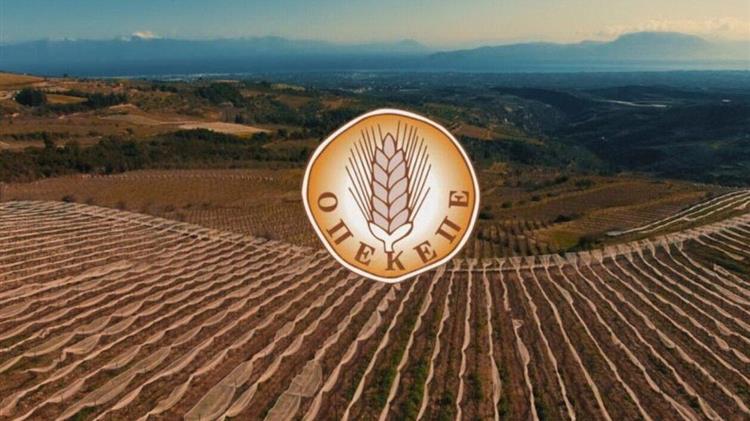 ΟΠΕΚΕΠΕ: Ηλεκτρονική υποβολή αιτήσεων για μεταβίβαση δικαιωμάτων Βασικής Ενίσχυσης 2025