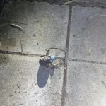 Mίνι οπλοστάσιο που παραπέμπει στον Β’ Παγκόσμιο Πόλεμο βρέθηκε στην Καισαριανή – Δείτε φωτογραφίες