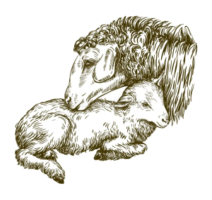 Η διαχείριση της ευλογιάς και ζωές των ανθρώπων που χάνουν το νόημά τους