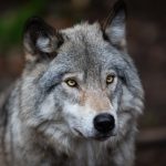 Ένας στους δύο αγρότες επιλέγει έξοδο μέσα στην επόμενη 10ετία, το 5% άμεσα