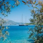 Παρατηρητήριο Τιμών Ελαιολάδου (14/8/2025)