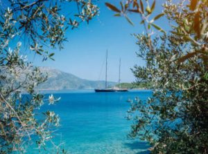 Παρατηρητήριο Τιμών Ελαιολάδου (14/8/2025)