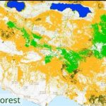 Την υγεία όλων των ελληνικών δασών χαρτογραφούν επιστήμονες στο ΑΠΘ