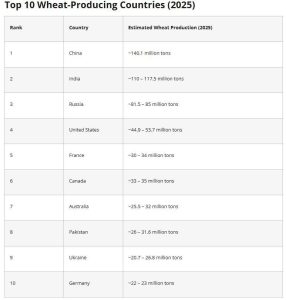 Αγροτικές Ειδήσεις: Αυτές είναι οι δέκα χώρες με τις μεγαλύτερες παραγωγές σιτηρών το 2025