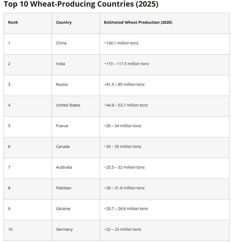 Αγροτικές Ειδήσεις: Αυτές είναι οι δέκα χώρες με τις μεγαλύτερες παραγωγές σιτηρών το 2025