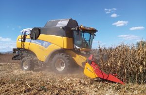 Σήμα για άνοδο στο  καλαμπόκι, μέτρια η  σοδειά στη ΝΑ Ευρώπη  με 21 λεπτά η αγορά,  τσιμπάει το εισαγόμενο