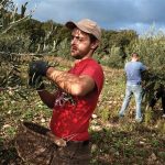 Προβλήματα με  ΑΤΑΚ στο 10,4% εκτάσεων στο ΟΣΔΕ 2025, η πρόταση ΟΠΕΚΕΠΕ