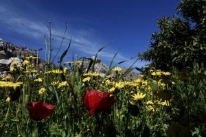 Καιρός: Πού θα εκδηλωθούν τοπικές βροχές με πιθανότητα καταιγίδων