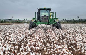 Ξεκίνησε με ανοιχτή τιμή τις παραλαβές βαμβακιού ο ΑΣ Φαρσάλων «Ο Ενιπέας»