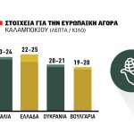 Στο καλαµπόκι όλα παίζονται στις εισαγωγές,  µε 220 ευρώ η παράδοση από Ουκρανία