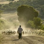Η ανάπτυξη της υπαίθρου οδηγεί τη μείωση της ανεργίας στην Ισπανία